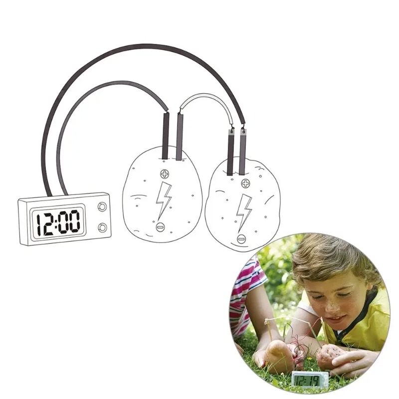 Science Nature - Nowa zabawka Montessori dla dzieci, owoc,
