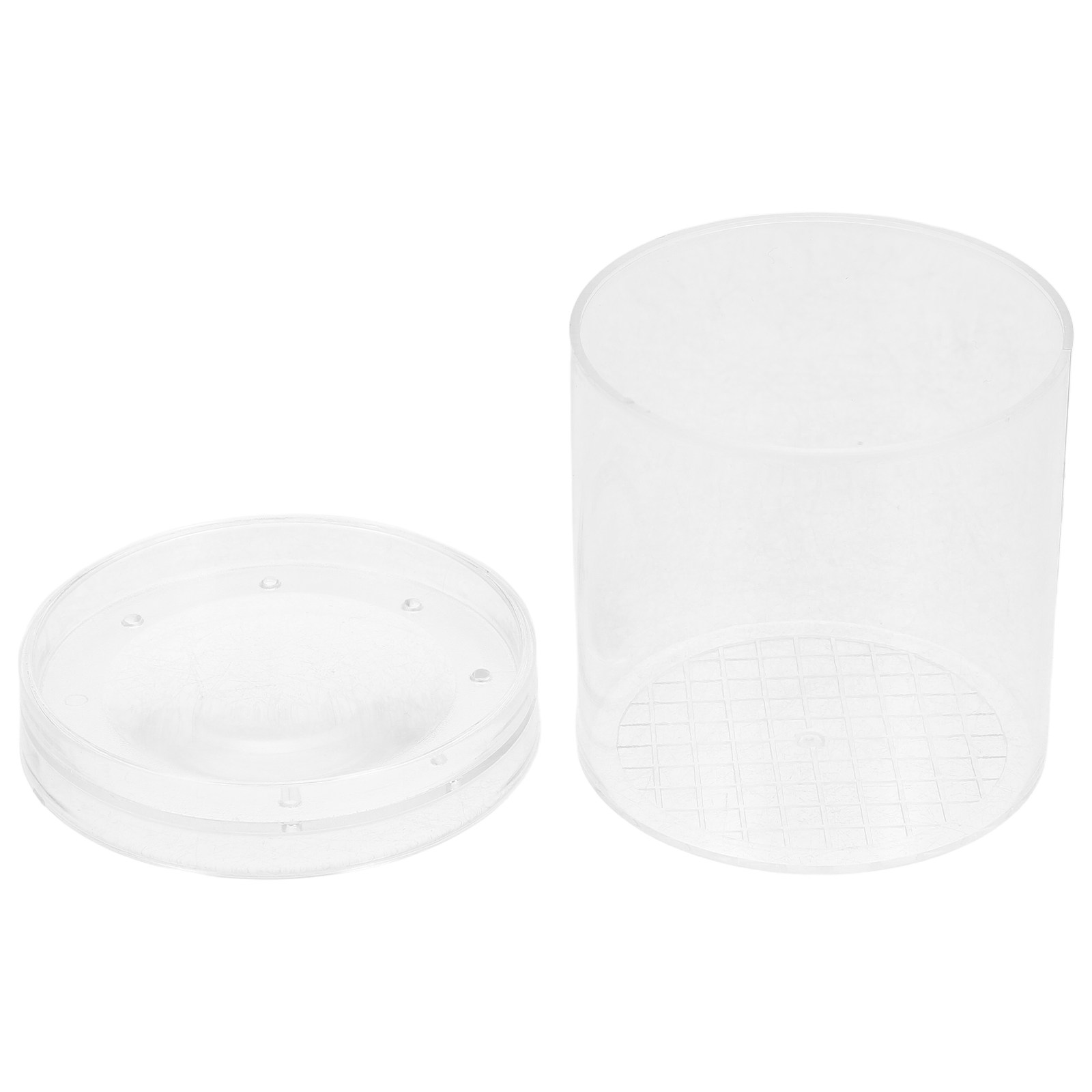 Science Toy - Pudełko do obserwacji owadów z 3-krotnym