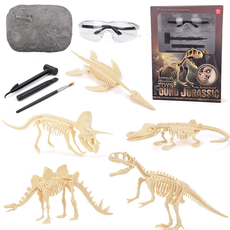 Science Toy - Zestaw do wykopalisk fosiliów dinozaurów STEM