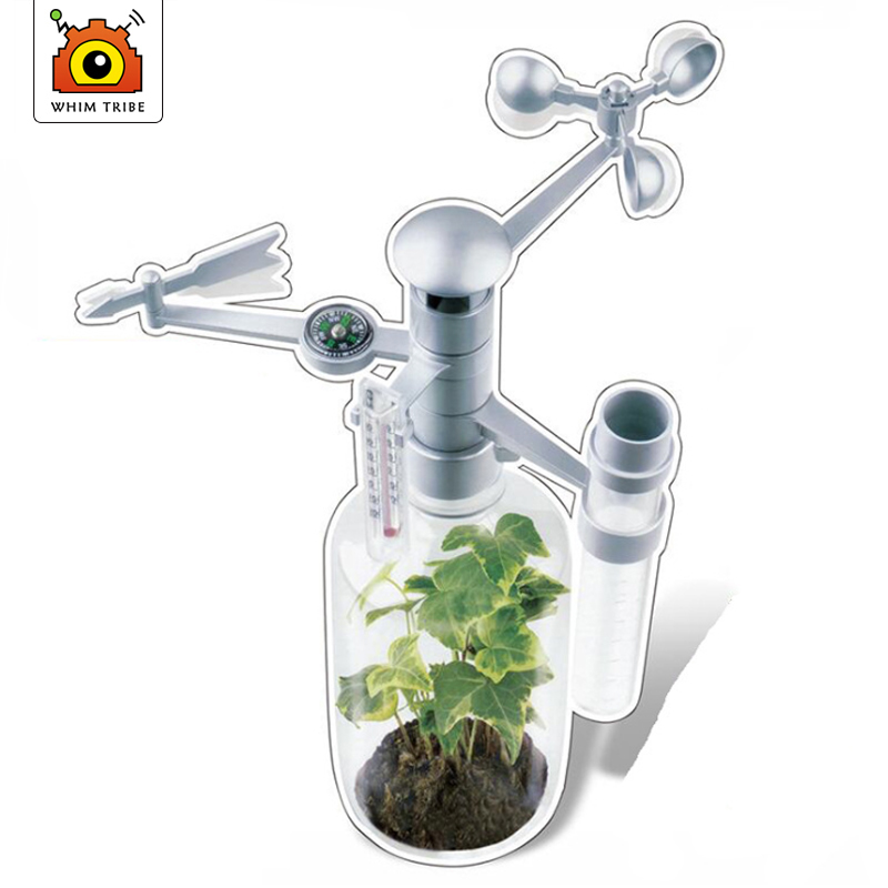 DIY ToySet Nauka intelektualna – Science Nature recenzja i cena