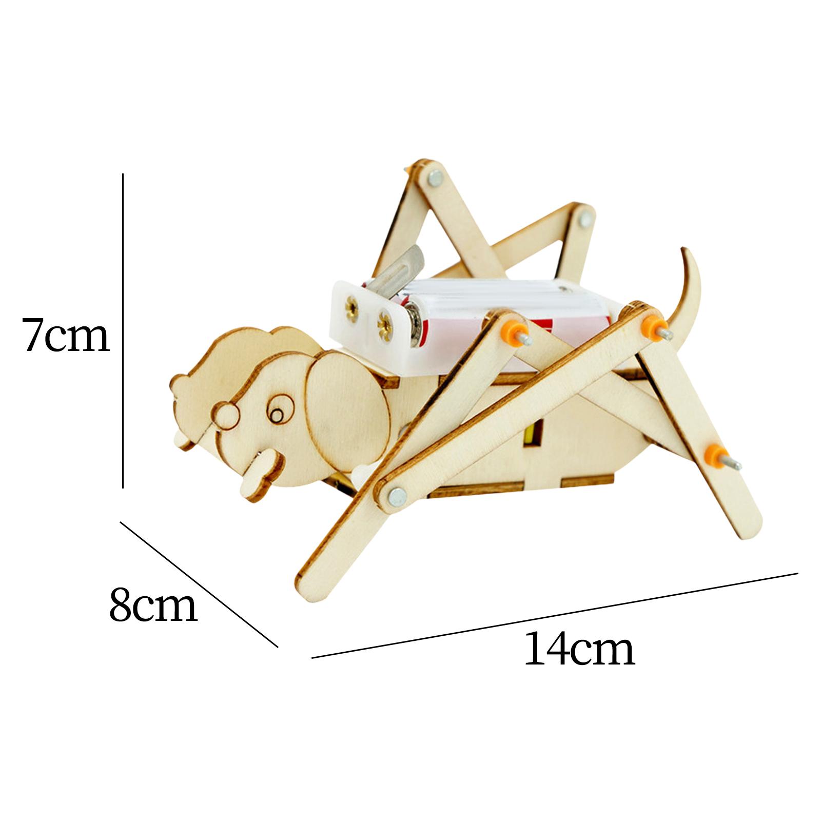 Zestaw do samodzielnego montaż – Science Project Toys Making recenzja i cena