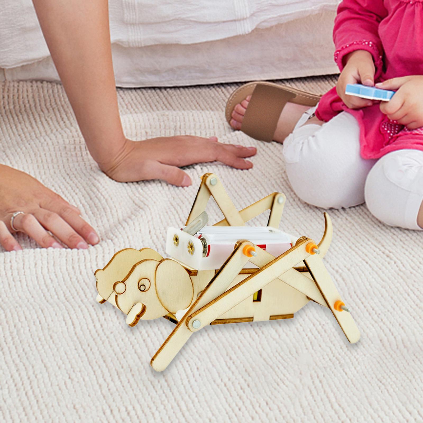 Zestaw do samodzielnego montaż – Science Project Toys Making recenzja i cena