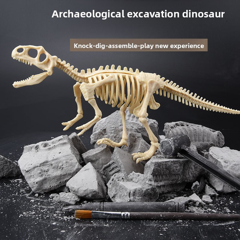 Zestaw do wykopalisk fosiliów  – Science Toy recenzja i cena