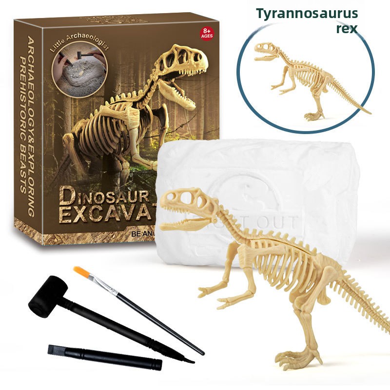 Zestaw do wykopalisk fosiliów  – Science Toy recenzja i cena